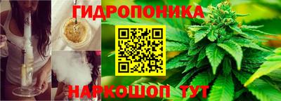 каннабис Донской